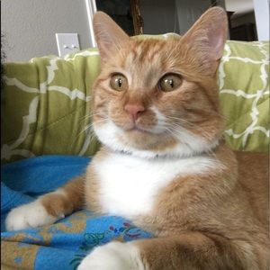 Meet your Posher, Jackie